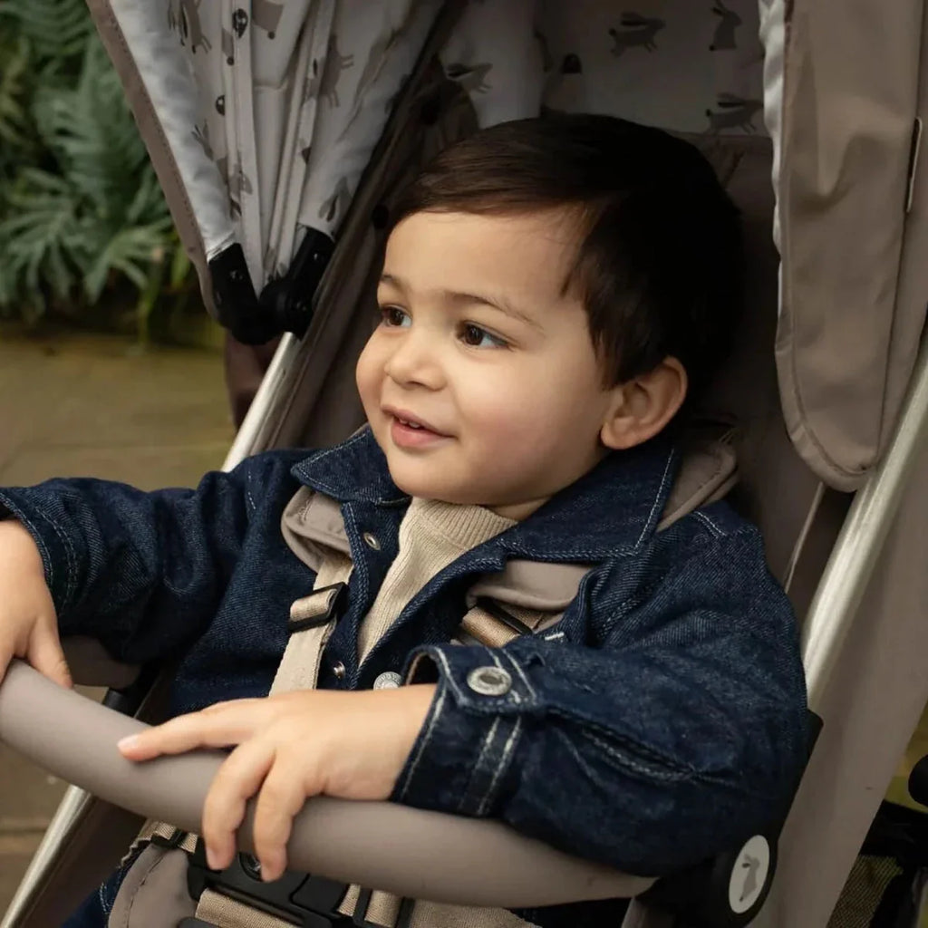 Cosatto Supa Lite Stroller - Foxed